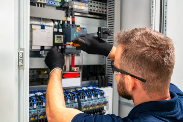 Best Electric Panel Repair  in Taft Southwest, TX